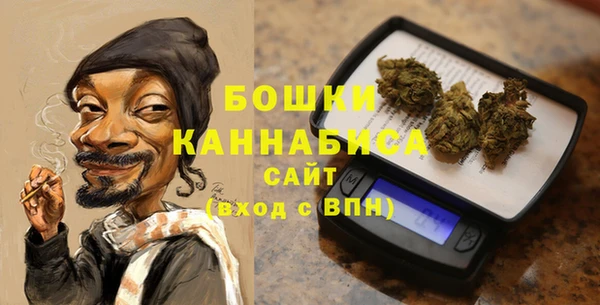 шишки Баксан