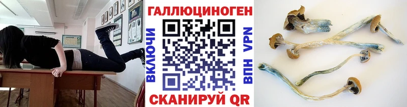 Галлюциногенные грибы MAGIC MUSHROOMS  Осташков 